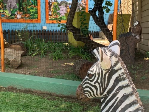 back garden zebra